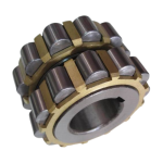 Eccentric Bearing