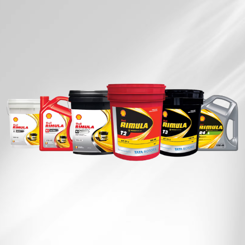 Shell Rimula – clg
