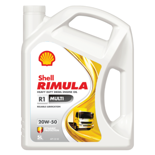 Shell Rimula